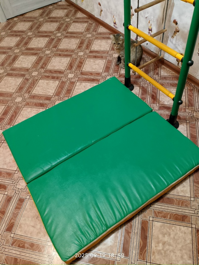 Здравствуйте! Продам, ДСКА +мат в подарок! Цена вопроса ...