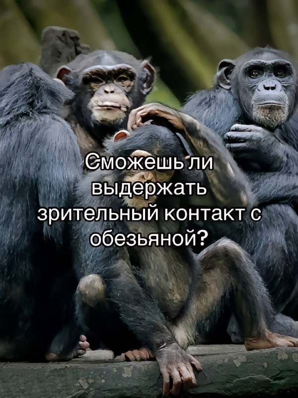 Сможешь?