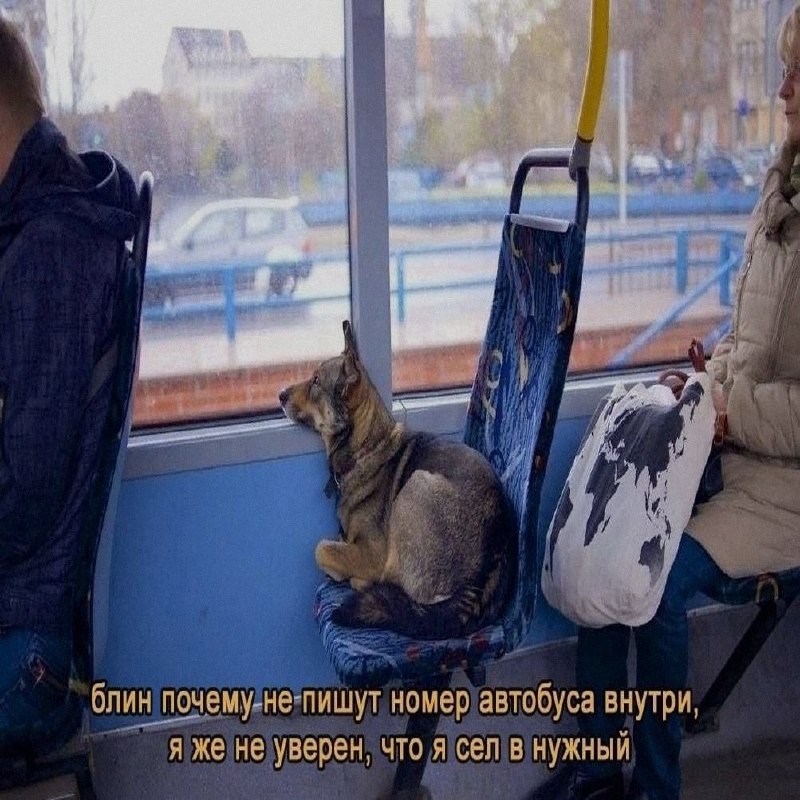 Ночная подборочка
Спать, режим