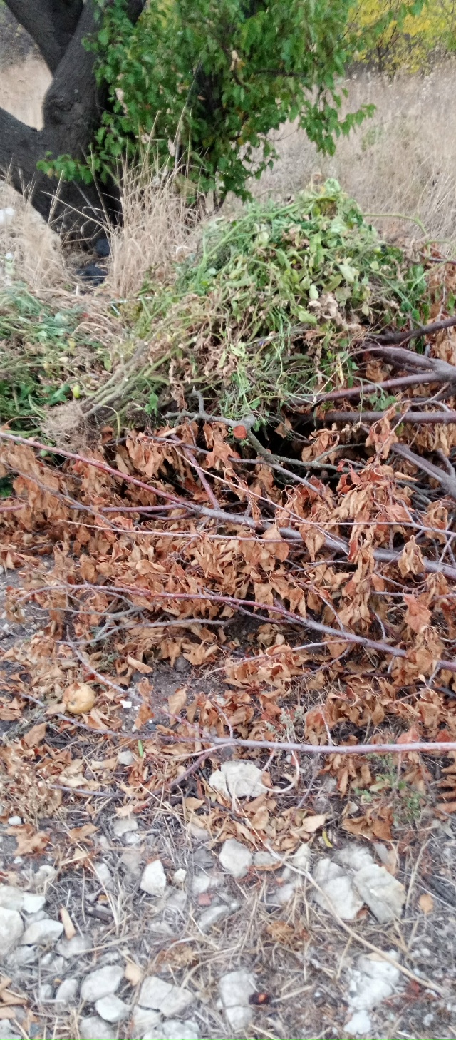 Админ выложите пожалуйста. Анон. Супружеская пара выки...