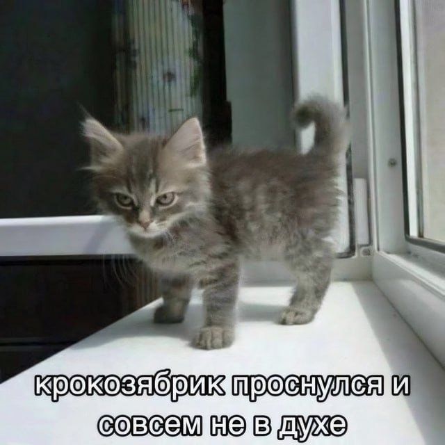 Буквально ты