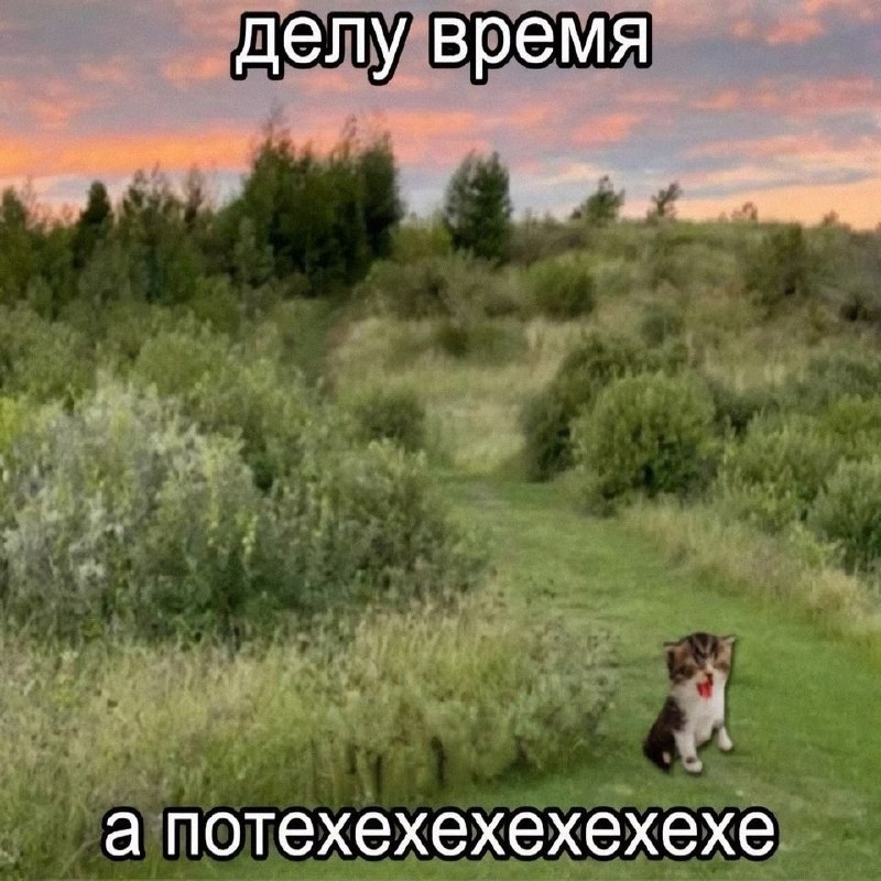 Утренняя подборочка