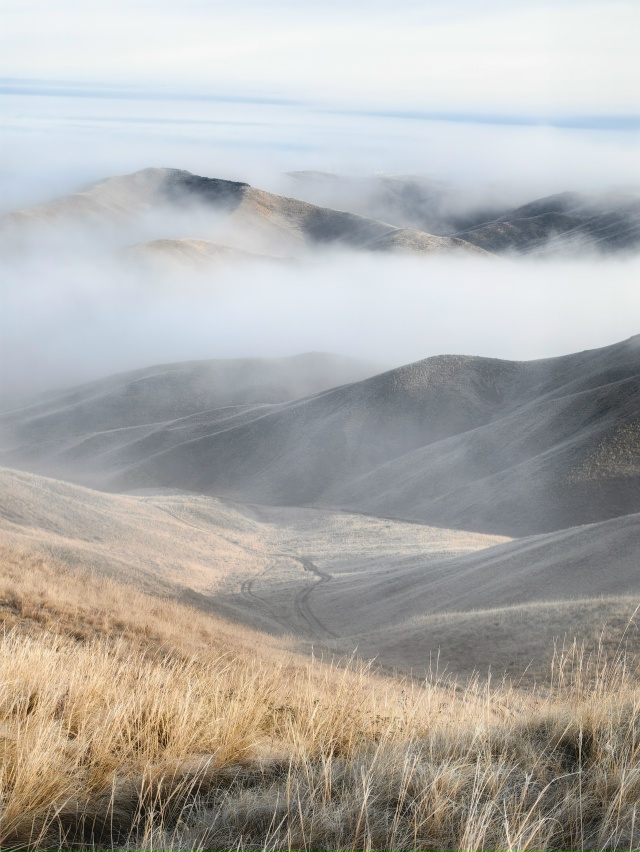 👉 Ноябрь — месяц туманов! 🌫
🍂 Осенняя пора окутыва...