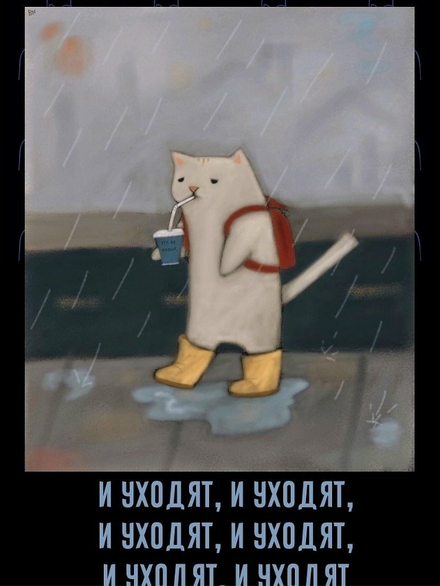 И вот так каждый день!