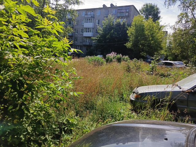 Двор на Калинина 17-19. За лето ни разу не косили. Заросло ...