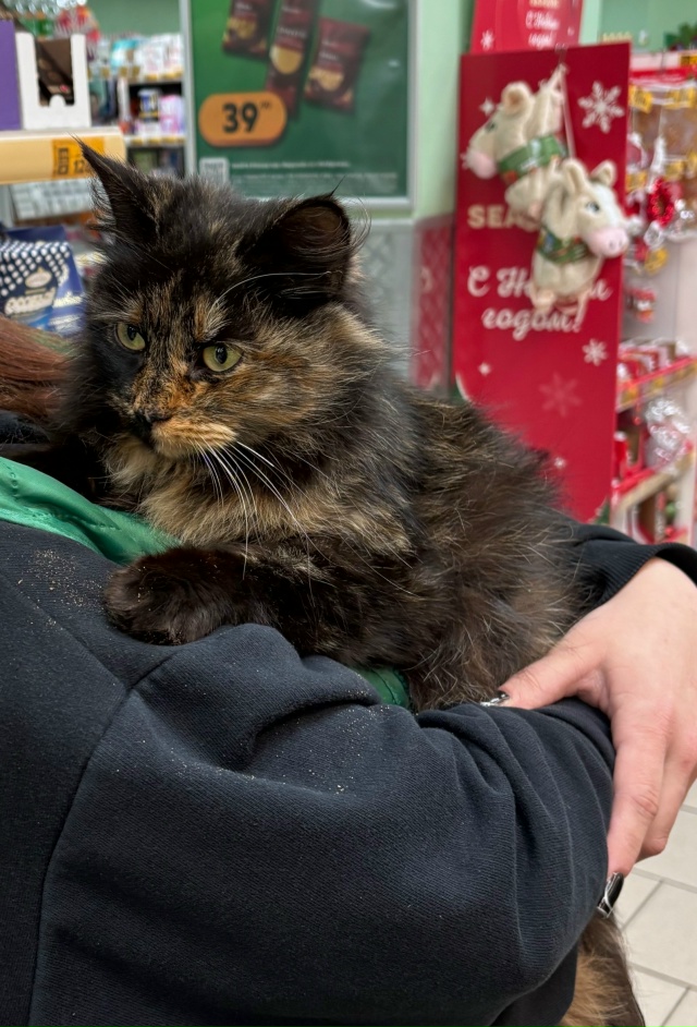 Добрый день, в магазин «Пятерочка» у белого магазина п?...