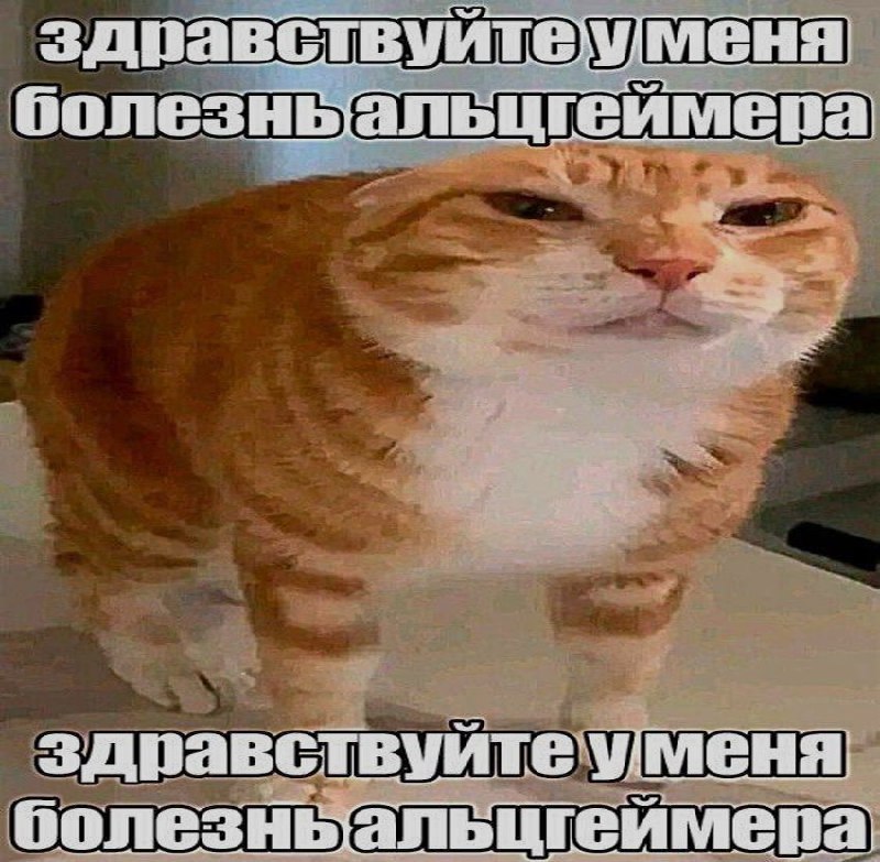 Ночная подборочка
Спать, режим