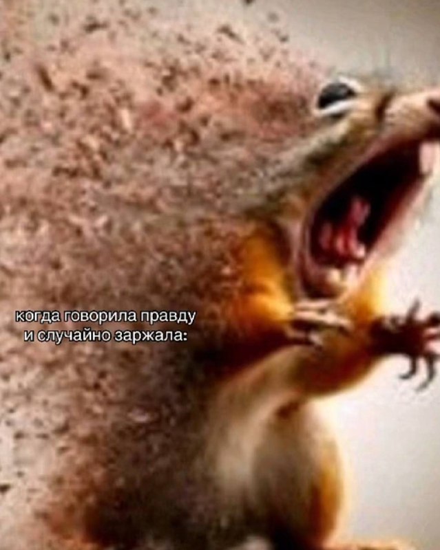 нет нет это правда