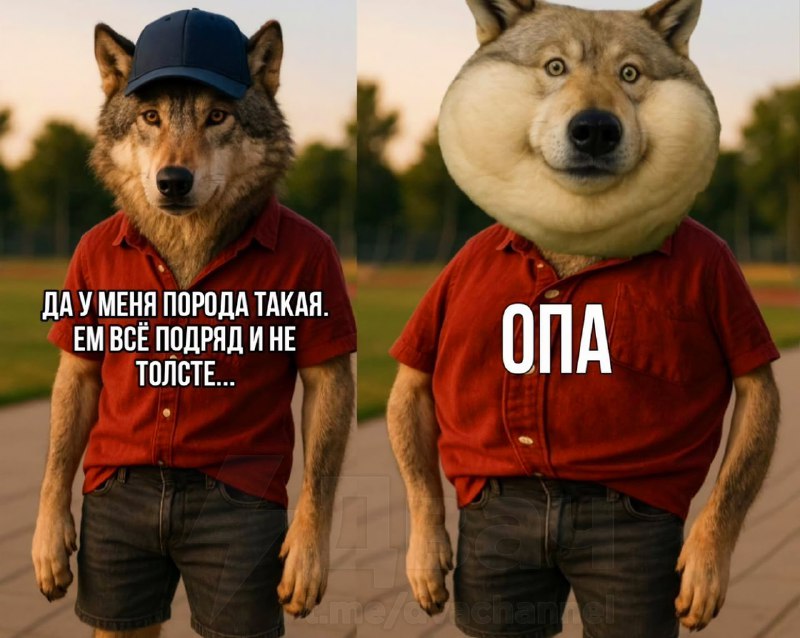 Никто:
Все пацаны в какой-то момент: