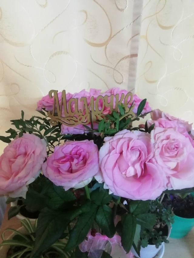 ‼️ Ваши фотографии
‼ С ️дня матери