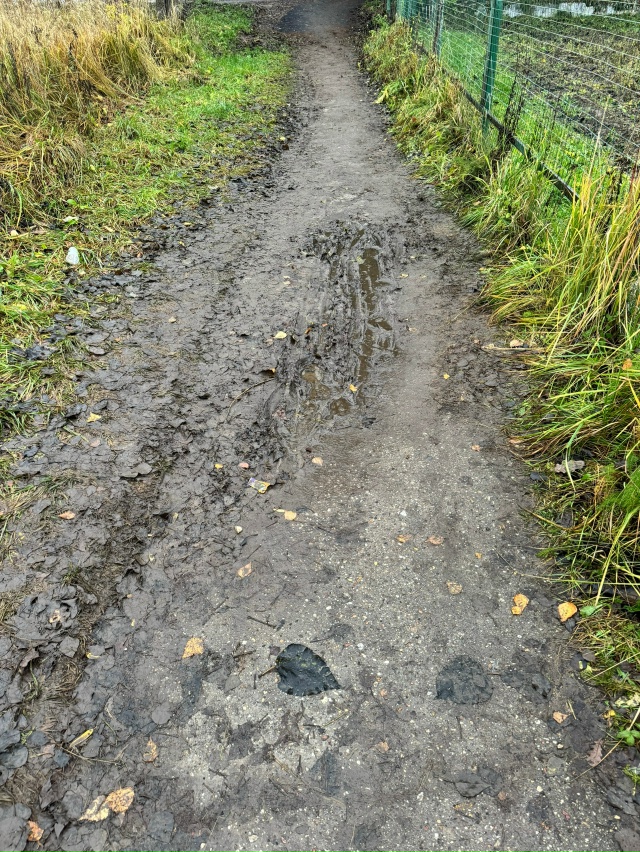 Анонимно.
Уважаемая Администрация, как долго вы еще бу?...