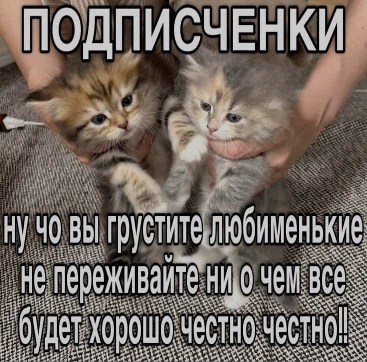 Ночная подборочка
Спать, режим