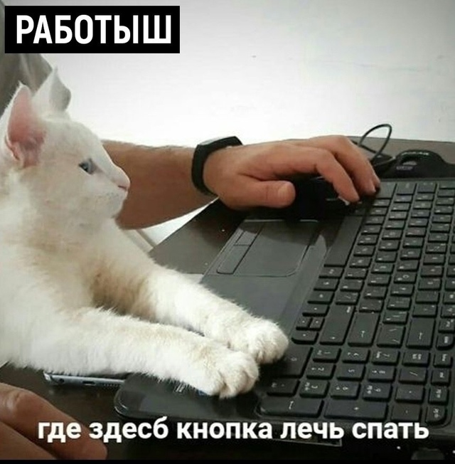 Какой ты сегодня?