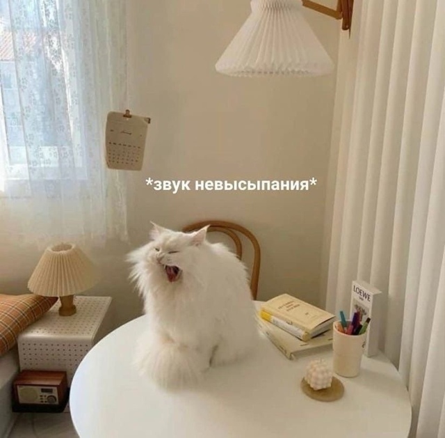 Типичное будничное утро