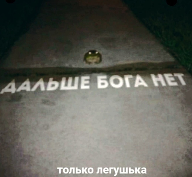 когда с преступления и наказания переходите на отцы и ?...