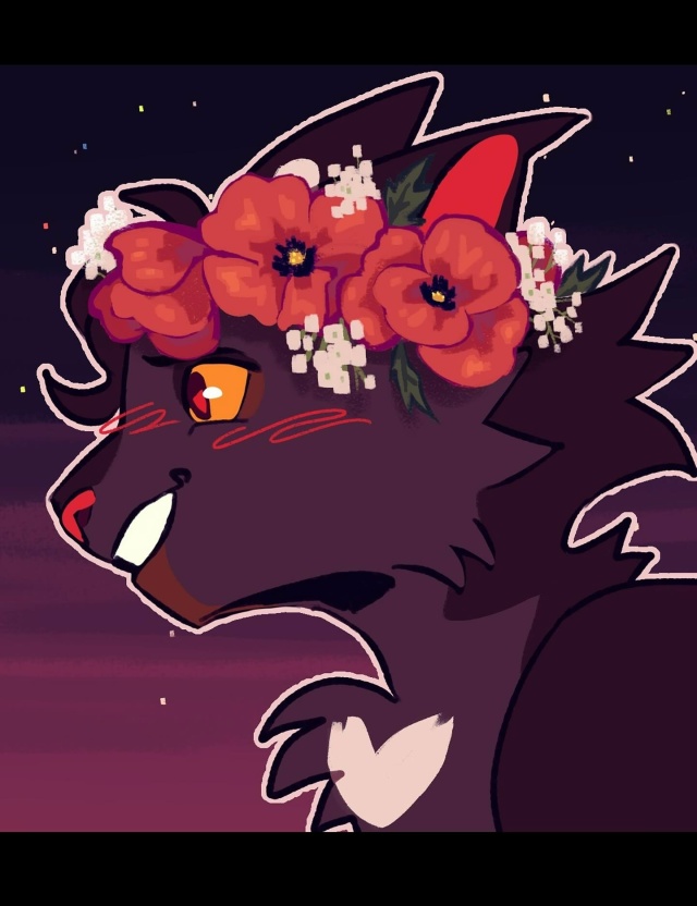 Солнцесветница и Ночегрив
© rainechiime & bowiestarzzz
#KV_ZZ_ART