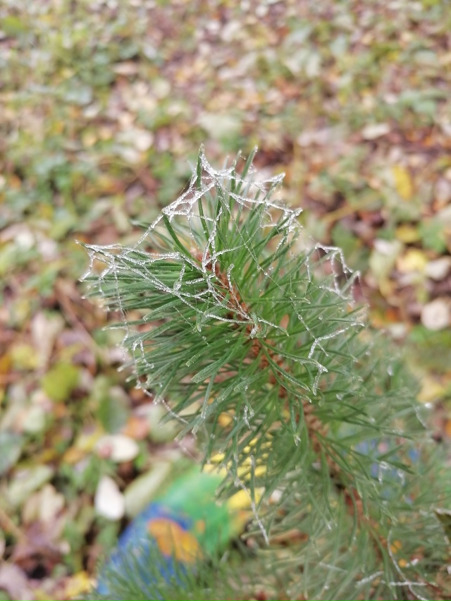 Доброго утра, Никольск❤