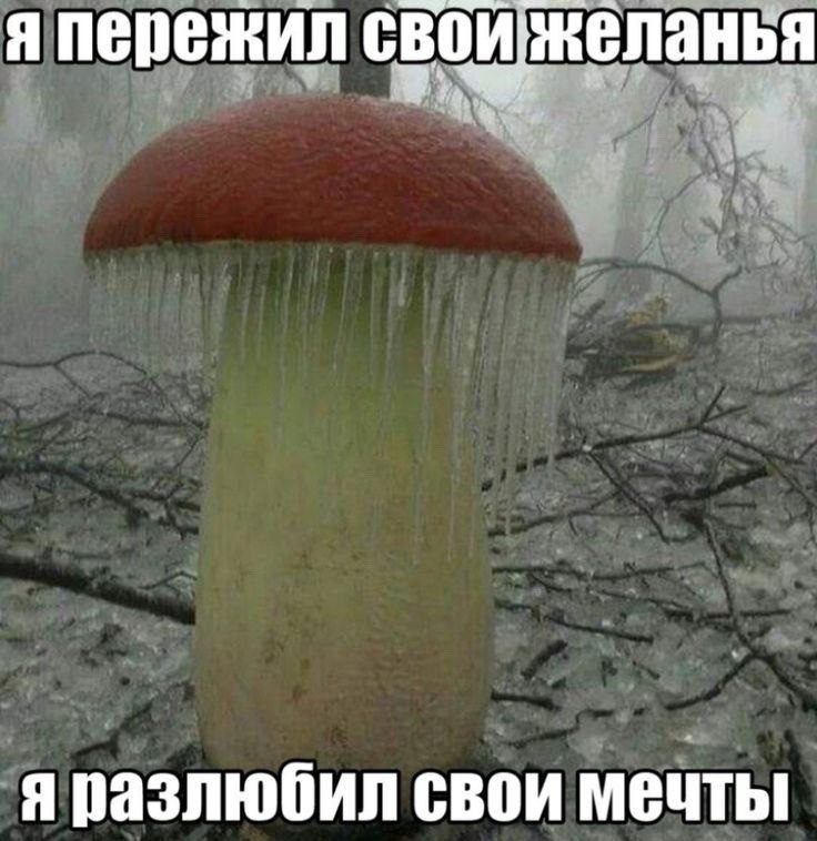 когда ходишь по магазу, закупаясь курицей и овощами, спокойно проходя мимо прилавка с сухариками и ч