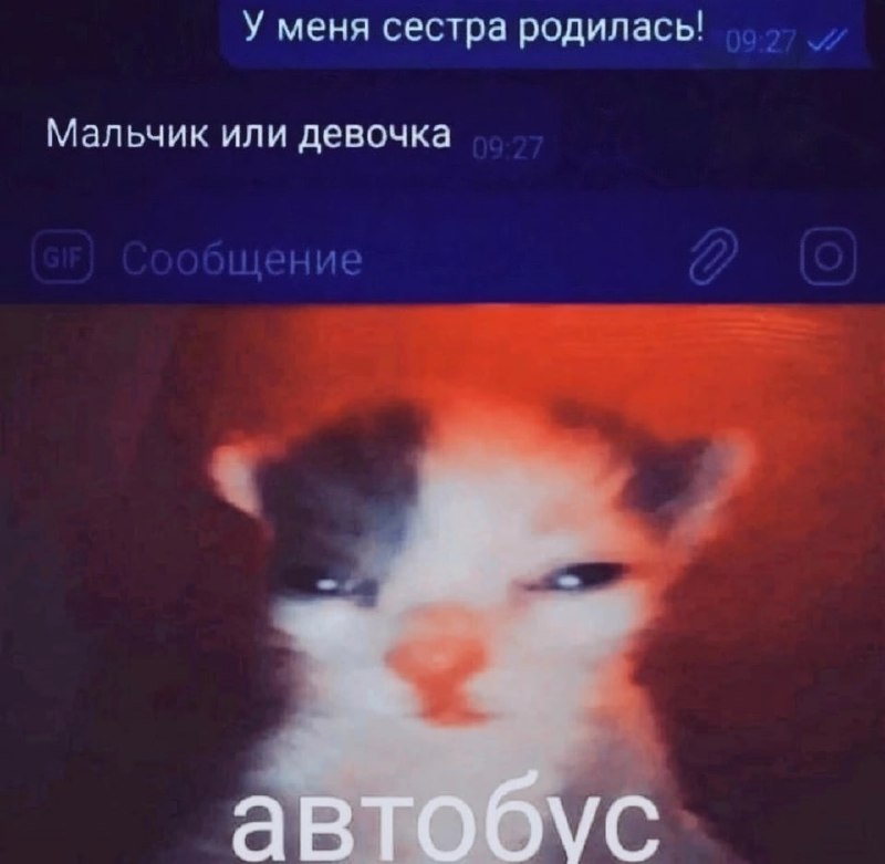 Утренняя подборочка