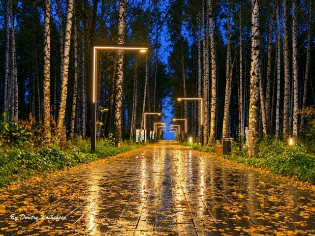 Осень бывает разной. То она одевает позолотой города д?...