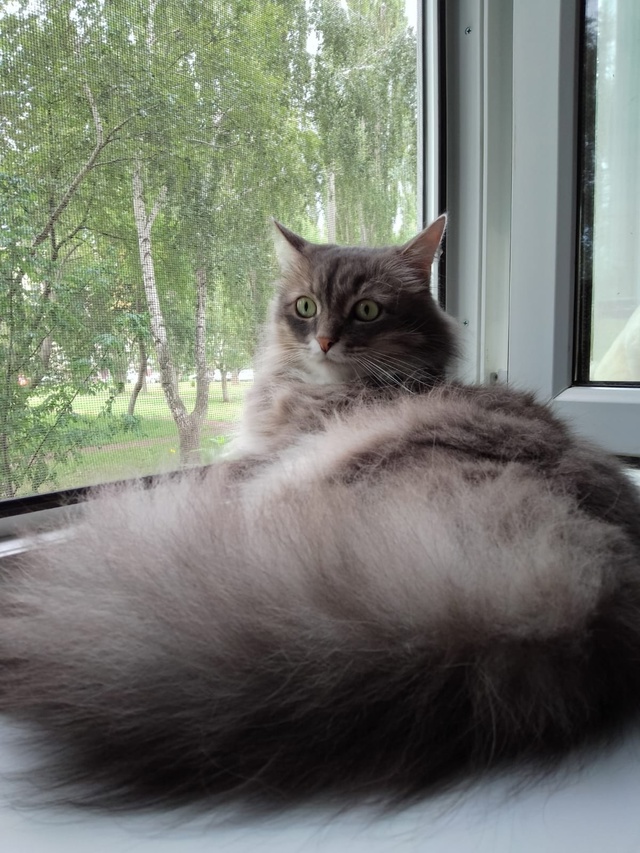 😺 Всем привет! На связи Маркиз Алексеич... Желаю вам вс?...