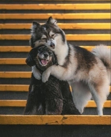 Вы только на это посмотрите 😍