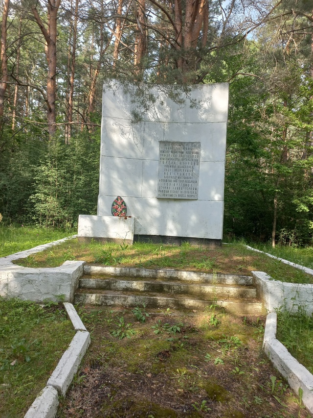 Прошу обратить внимание администрации города Острова ...