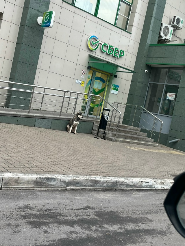 Может кто-то потерял друга ?