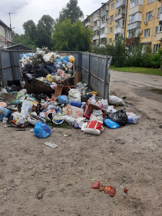 Вот такая ситуация уже полгода на мусорке в Фокинском ?...