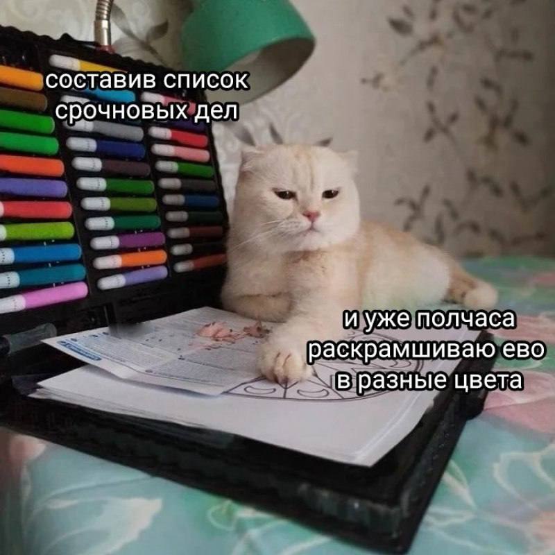 Утренняя подборочка