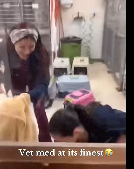 Один день из жизни опытного ветеринара!!