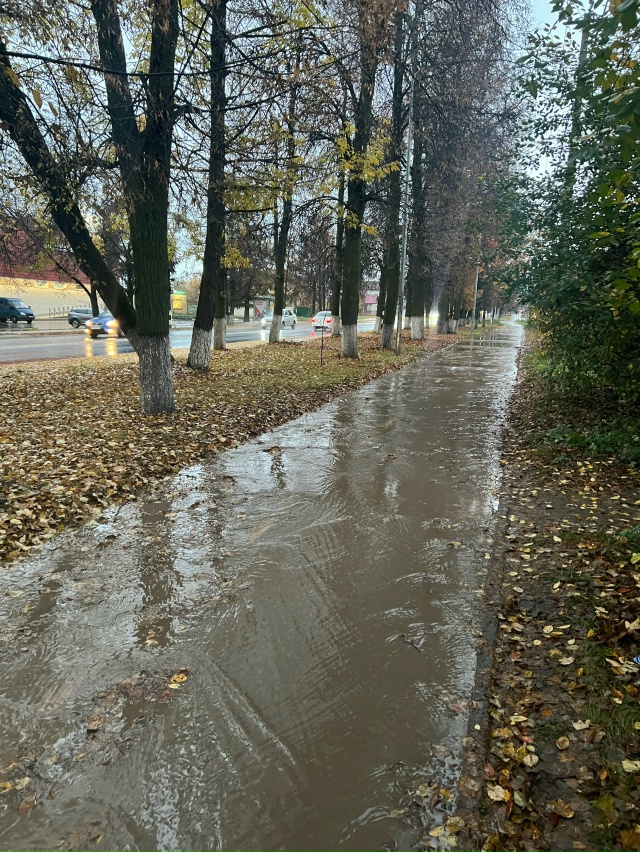 Как ходить по этому городу?! Анон
