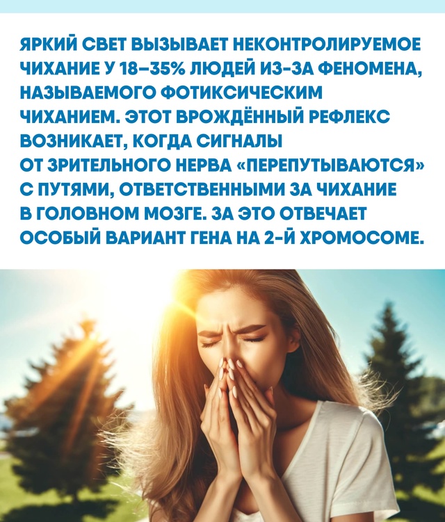Забавно, что древние римляне связывали чихание на солн...