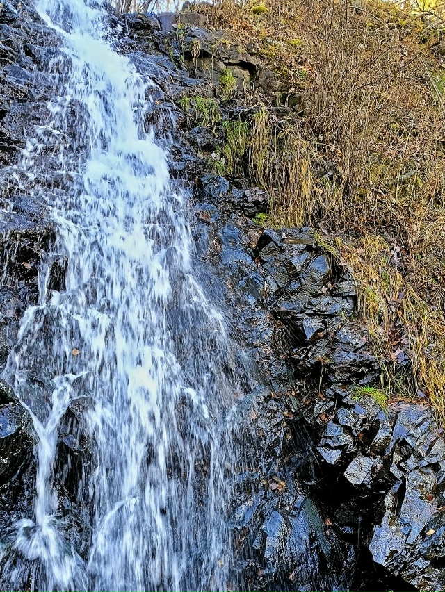 Прогулка с друзьями в районе Косой речки и реки Туры. Н?...