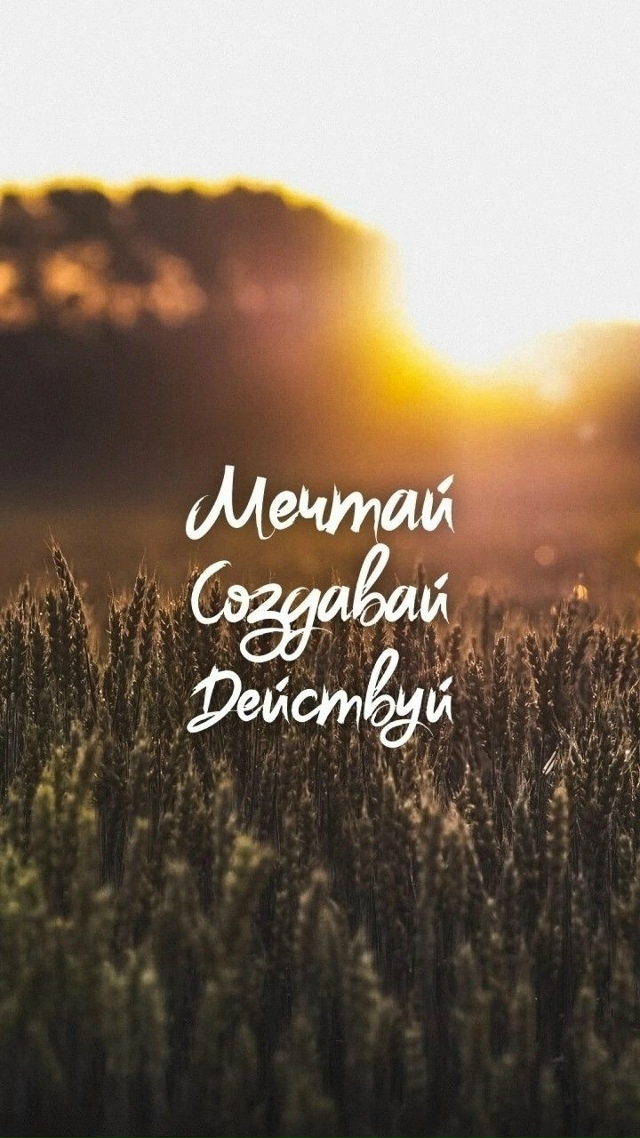 🤍