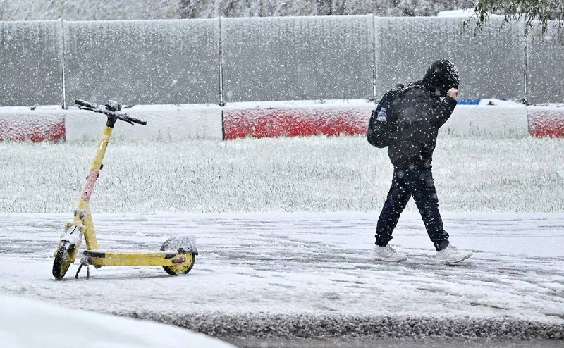 🛴 Аренду самокатов и велосипедов приостановили до улучшения погодных условий — Дептранс
Природа поч