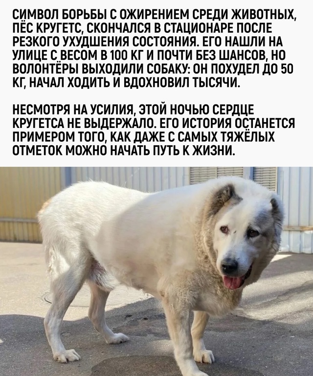 Он не просто похудел — он прожил свою вторую жизнь. И о?...