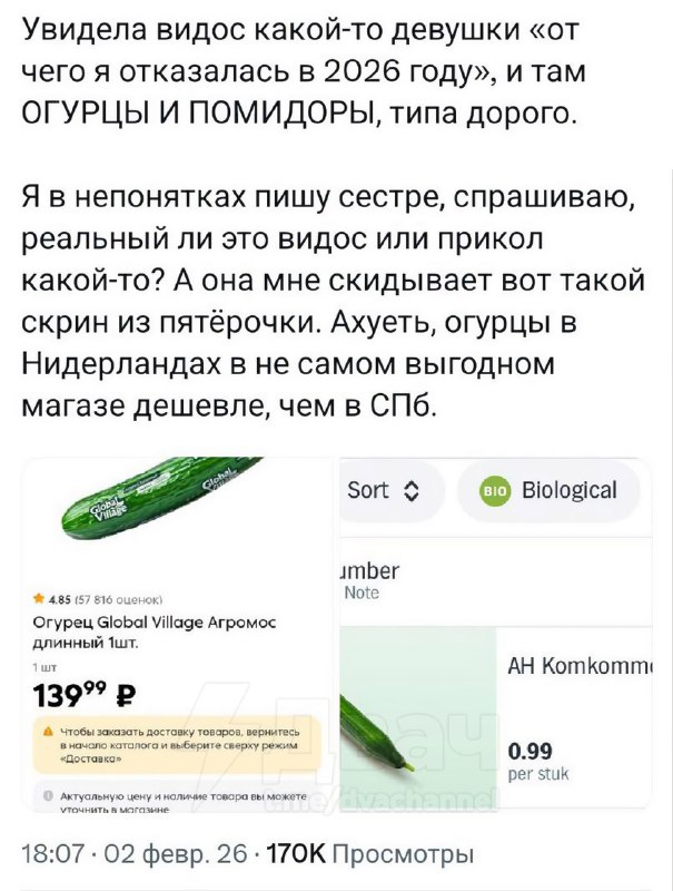 Цены на огурцы в России сошли с ума: теперь килограмм стоит столько же, сколько манго или питахайя —