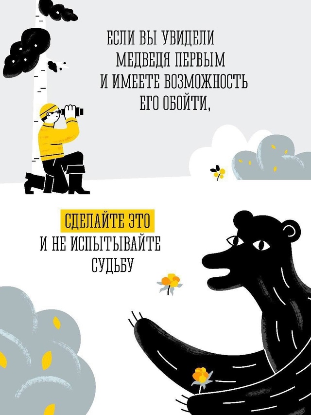 🐻Бурый медведь – крупный, опасный для человека хищни?...