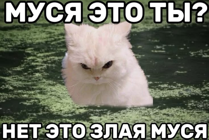 Что видит мой мужик, когда мимо нас прошёл рандомный парень с цветами