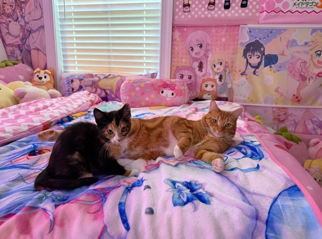 💞