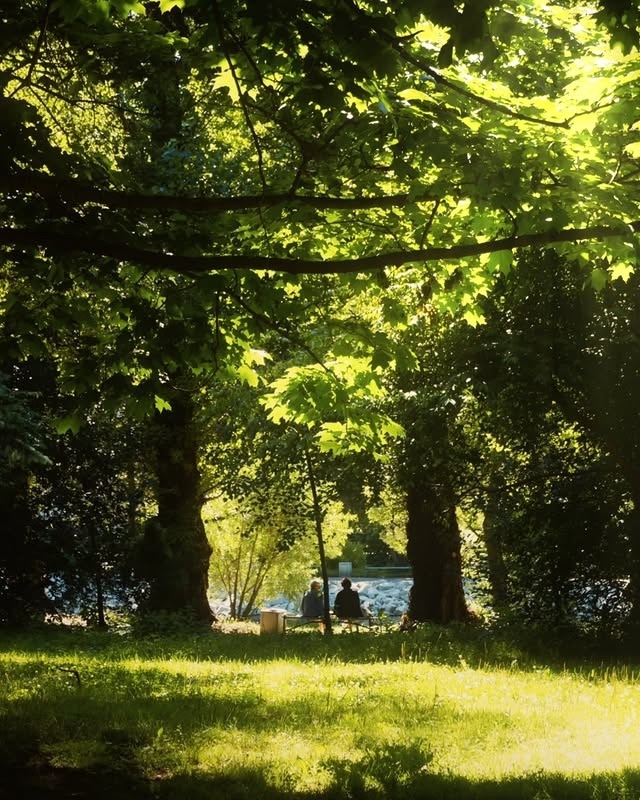 Лето в столице Урала🍃