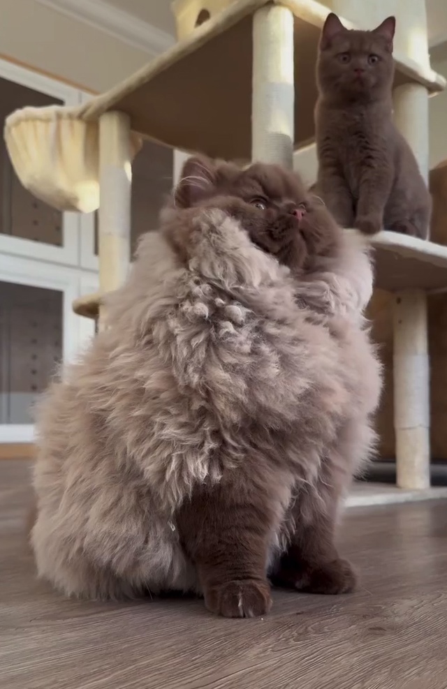 Она точно самая главная в семье