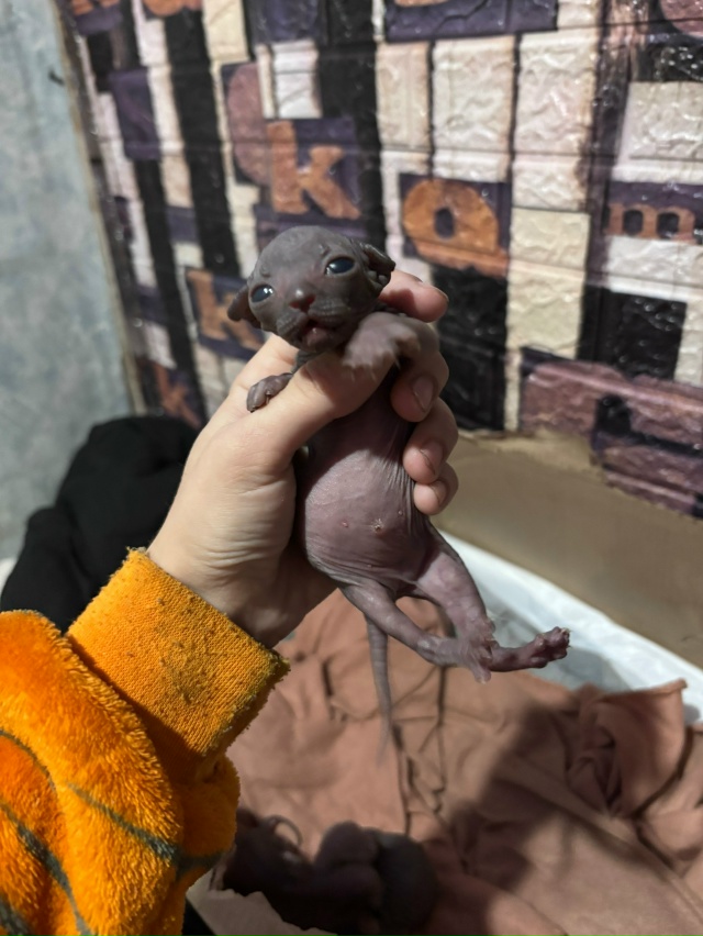 Растут детки наши❤️