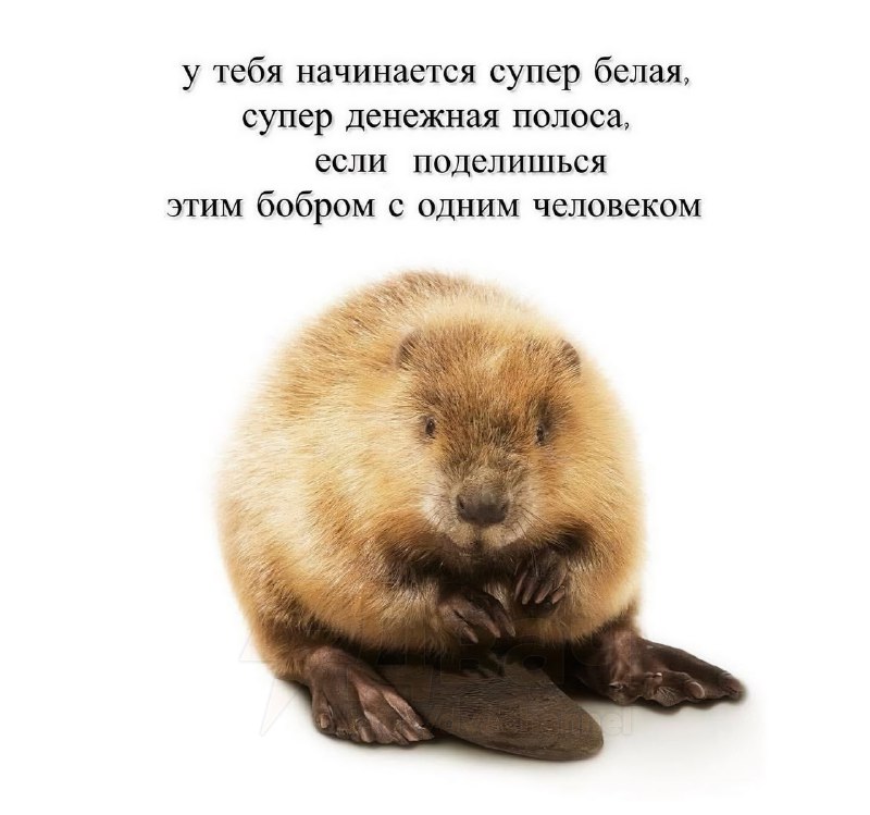 Если откажешься — будет понос