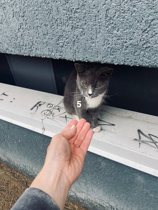 #ПотерялиНашлиПомогите
1 Где посмотреть и забрать бар...