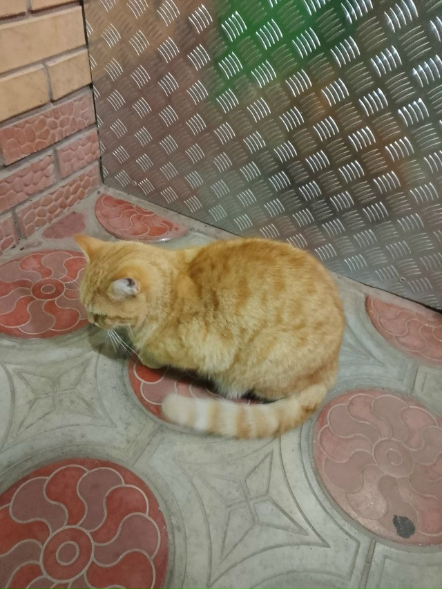 Ваши вопросы.
1⃣ Потерял карту Sberkids в сбербанке.
После...