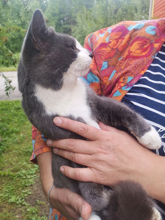 чей кот?
Район ЦРБ
Анон.