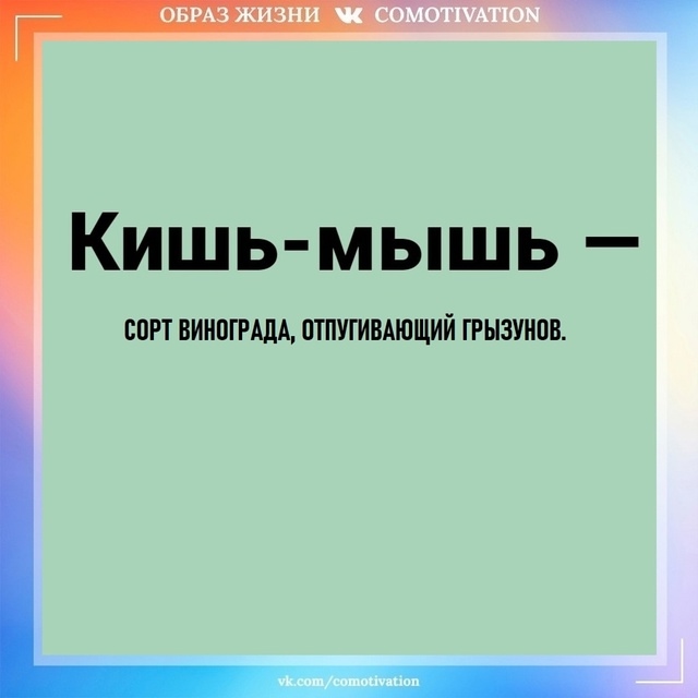 Каждый раз я вздрагиваю, когда слышу эти слова. Орфогра...