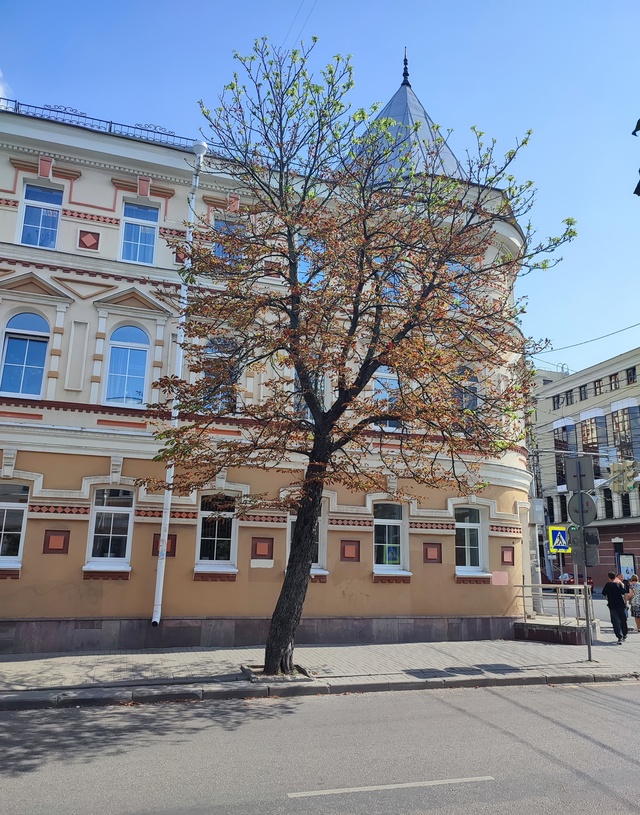 Улица Фридриха Энгельса в Центральном районе - это одн?...